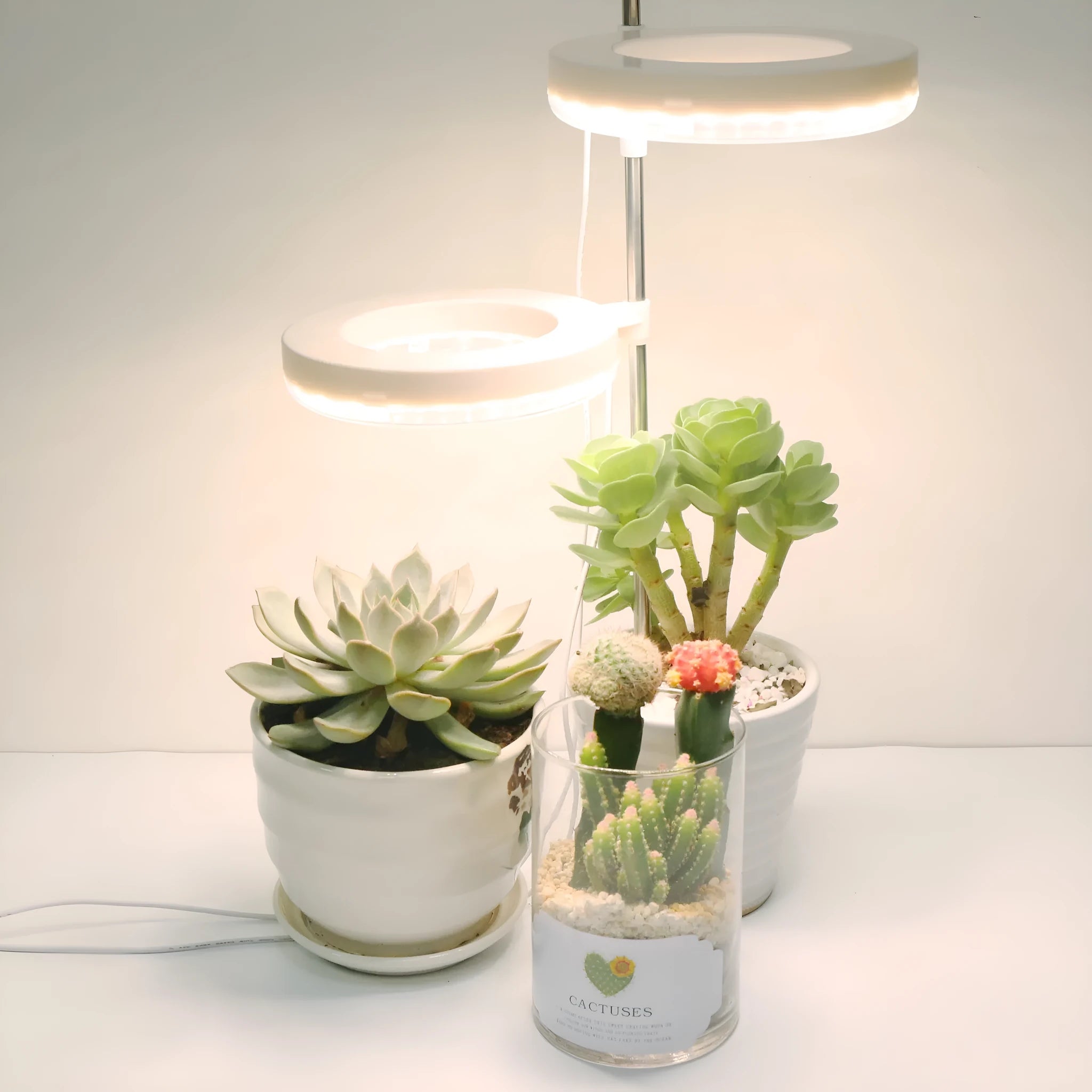 Compact white full spectrum plant growth lamp on a desk next to indoor greenery.