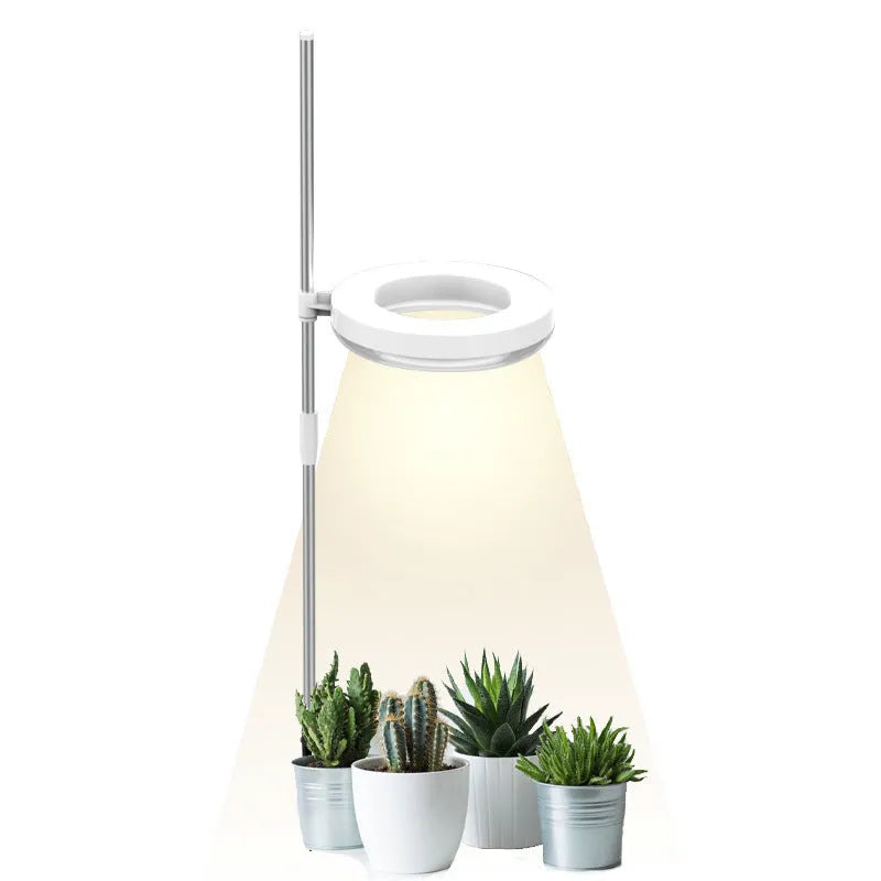Compact white full spectrum plant growth lamp on a desk next to indoor greenery.