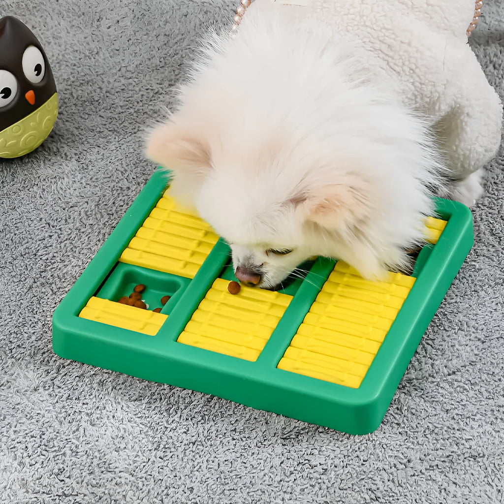 Lake blue plastic interactive puzzle dog toy on a light background