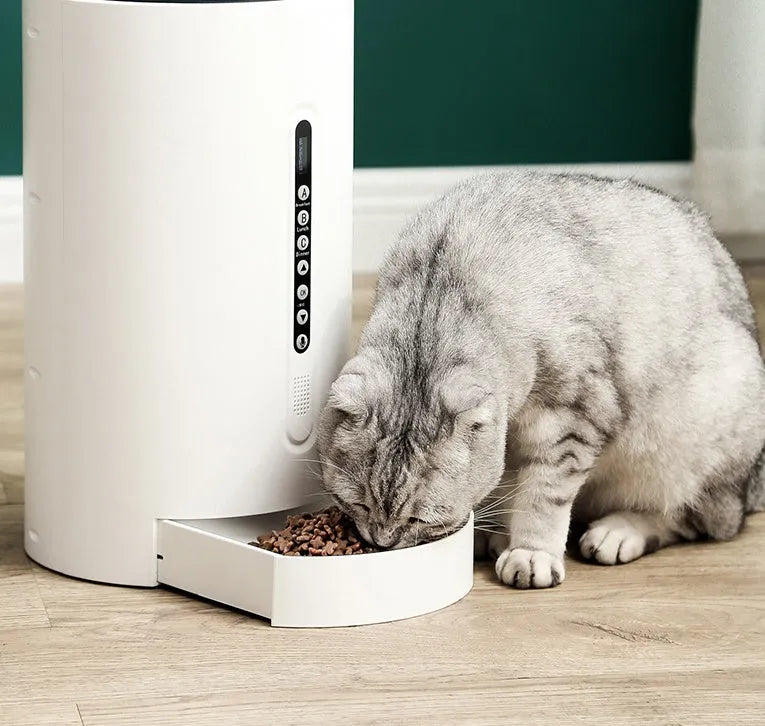 White smart pet feeder with 4.6L dry food capacity and automatic dispensing mechanism