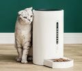 White smart pet feeder with 4.6L dry food capacity and automatic dispensing mechanism