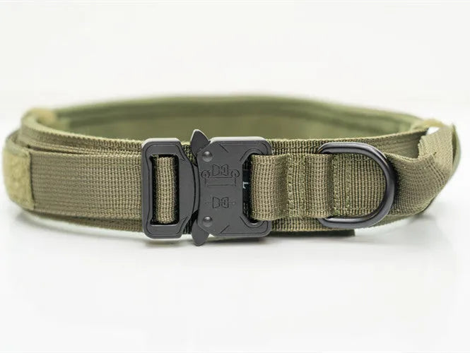 Nylon dog collar in khaki for large medium dogs with metal buckle and D-ring