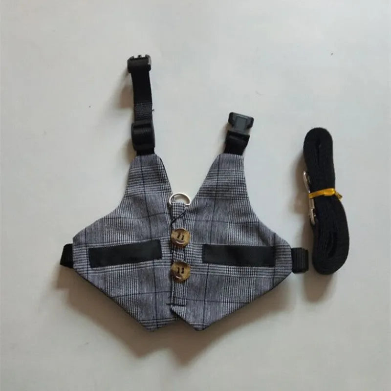 Grey rabbit leash and dress chest harness set on small pet, sizes S M L available
