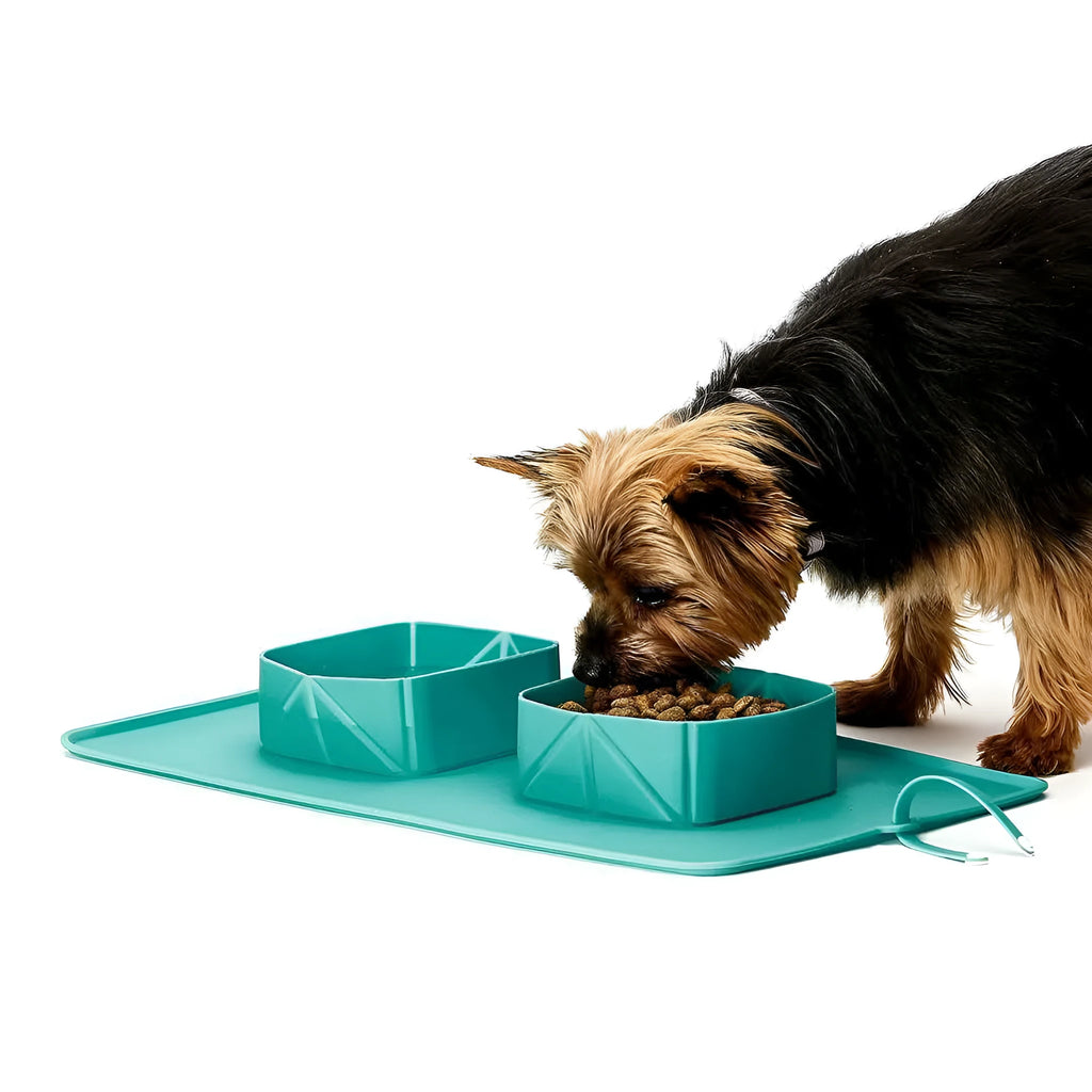 Silicone folding pet bowl in black, collapsed flat showing non-slip base