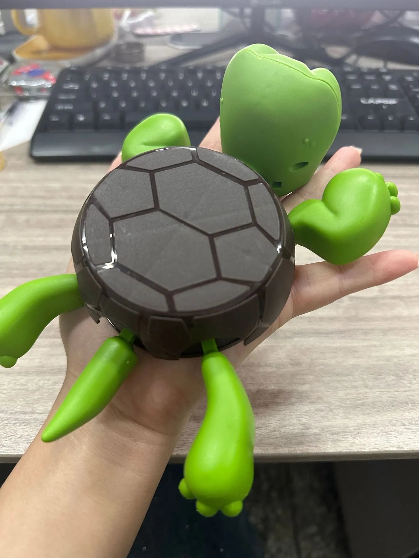 Creative turtle-shaped ABS plastic coaster in light green colour on a table
