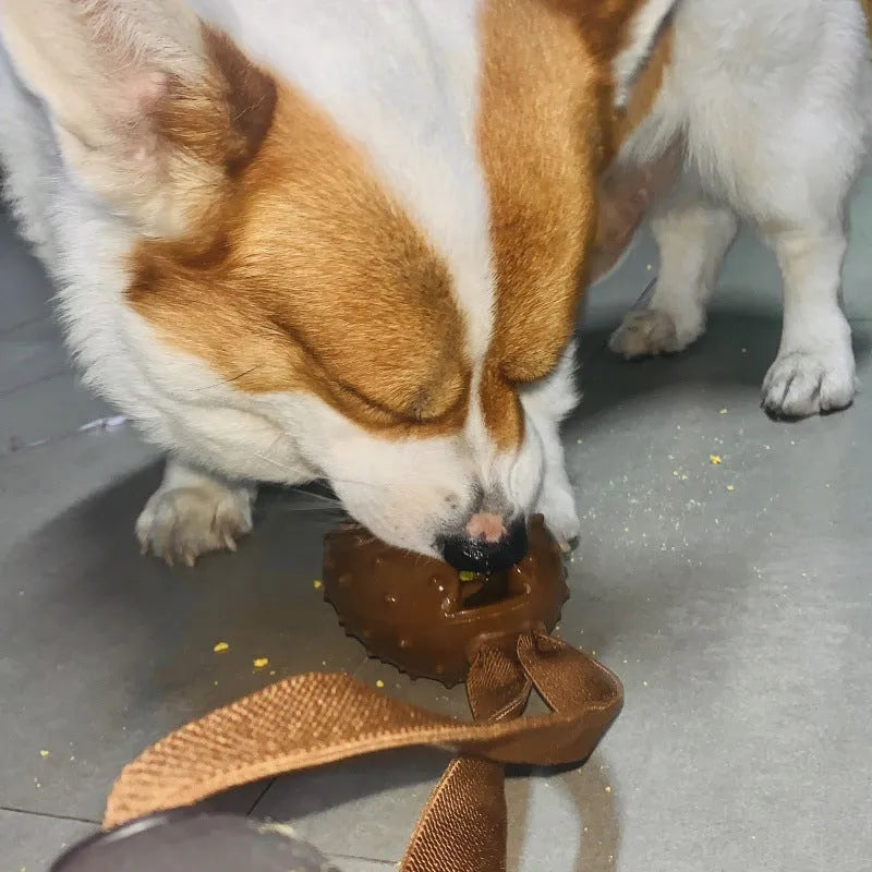 Coffee bean shaped dog chew toy with TPR material, dental balls, and rope knots