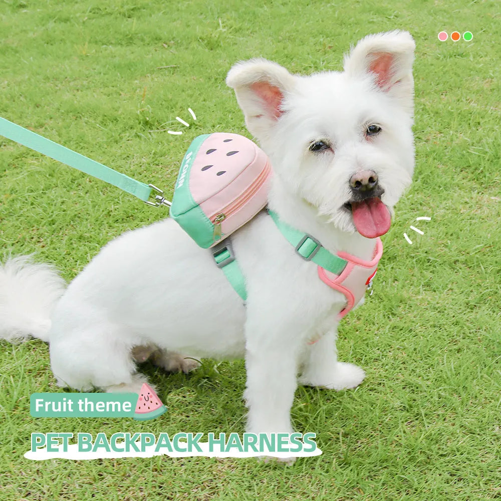 Pet backpack chest strap set with anti-slip rope in green, orange or pink colours