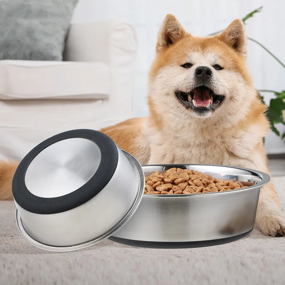 Stainless steel pet bowl in blue with a 22cm diameter on a white background