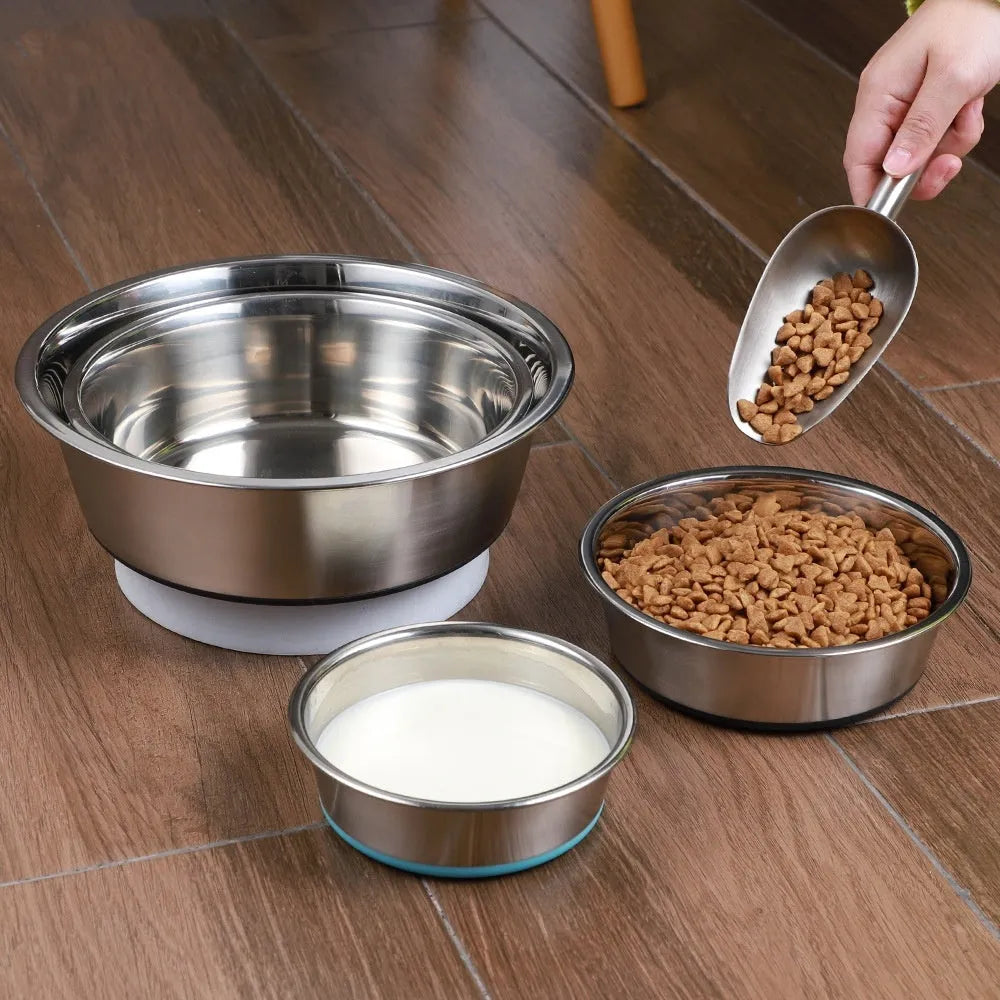 Stainless steel pet bowl in blue with a 22cm diameter on a white background