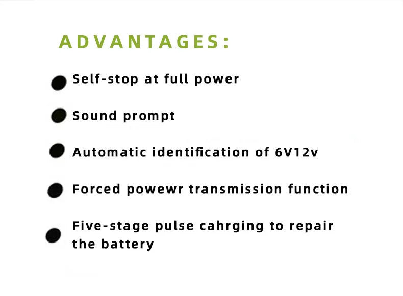 BT 168 model 12V 24V car battery charger with American plug for lead acid batteries