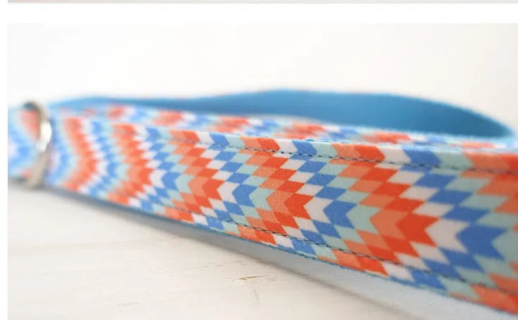 Orange and blue polyester money loop dog leash set on a white background