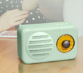 Portable Bluetooth speaker with FM radio in vintage green, pink or wood colour finish