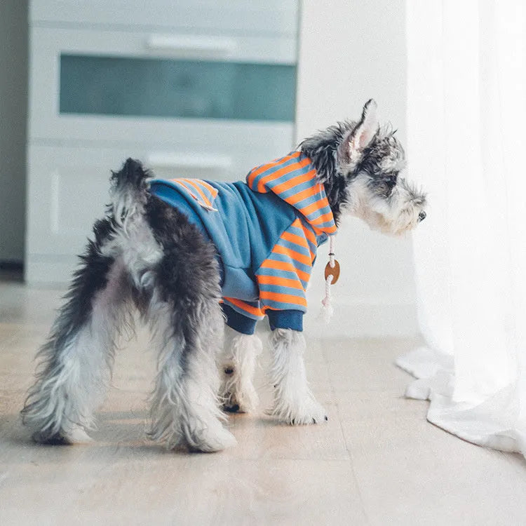 Royal blue hooded cotton dog sweater for small dogs, sizes L and XL