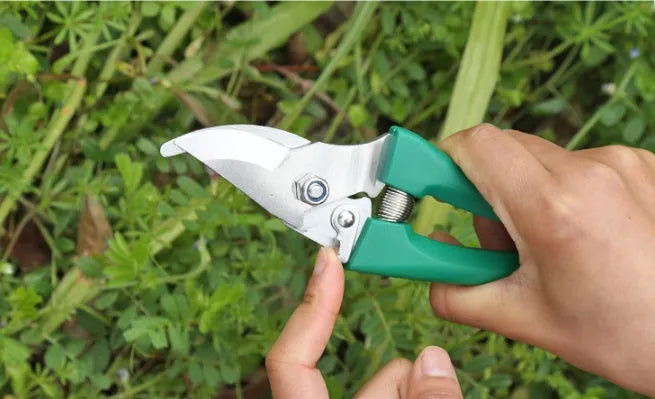 Ten-piece gardening tool set with iron heads and plastic handles, green colour option