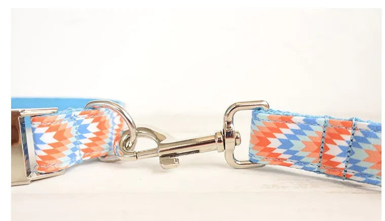 Orange and blue polyester money loop dog leash set on a white background