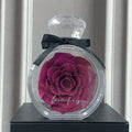 Dried rose in transparent plastic bottle display with cover, multiple colour options, home decor gift box