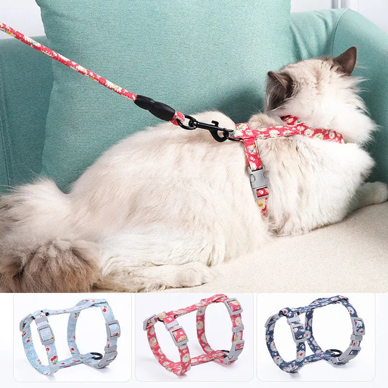 Cat I-shaped chest harness in Black with cotton rope and metal clip on white background