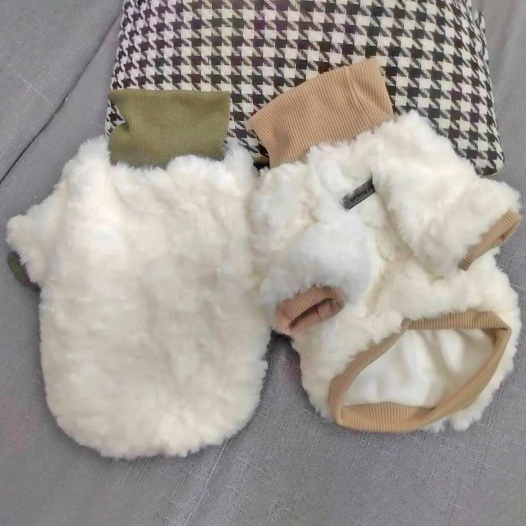 Small dog wearing thick turtleneck winter coat with plush padding in creamy green colour