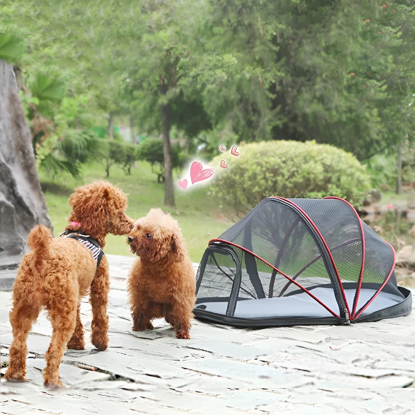 Foldable L code cat tent with half mesh ventilation panels in blue colour option
