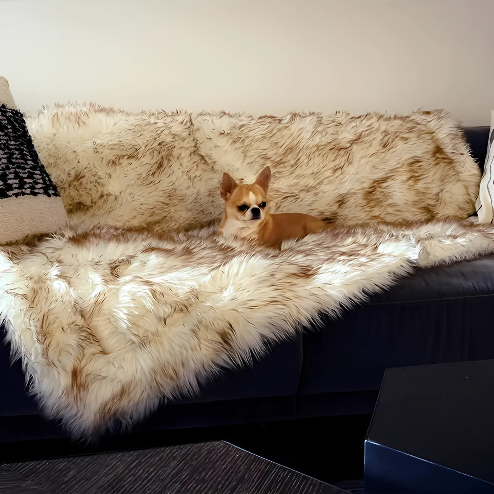 White with brown accents machine washable waterproof dog couch bed on a floor