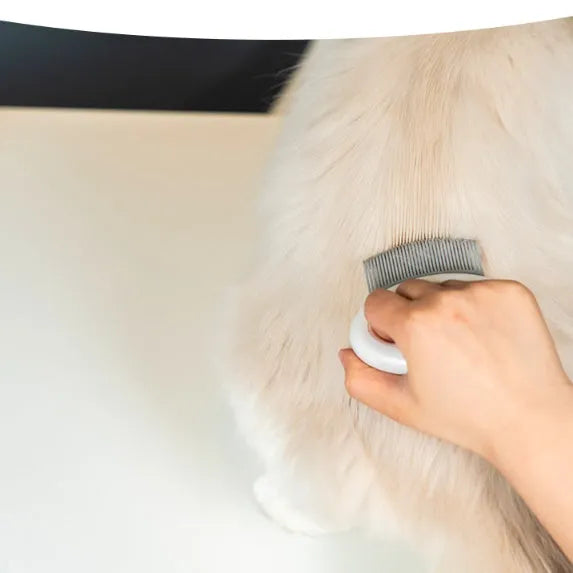 Plastic cat hair comb in blue with double head pocket comb design for removing floating fur