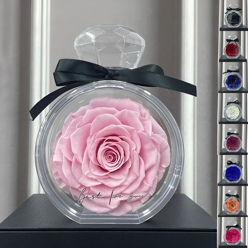 Dried rose in transparent plastic bottle display with cover, multiple colour options, home decor gift box