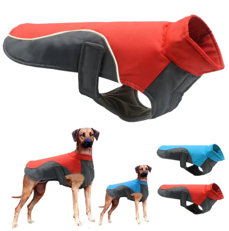 Blue waterproof reflective big dog jacket with Oxford cloth shell and fleece lining on a large dog