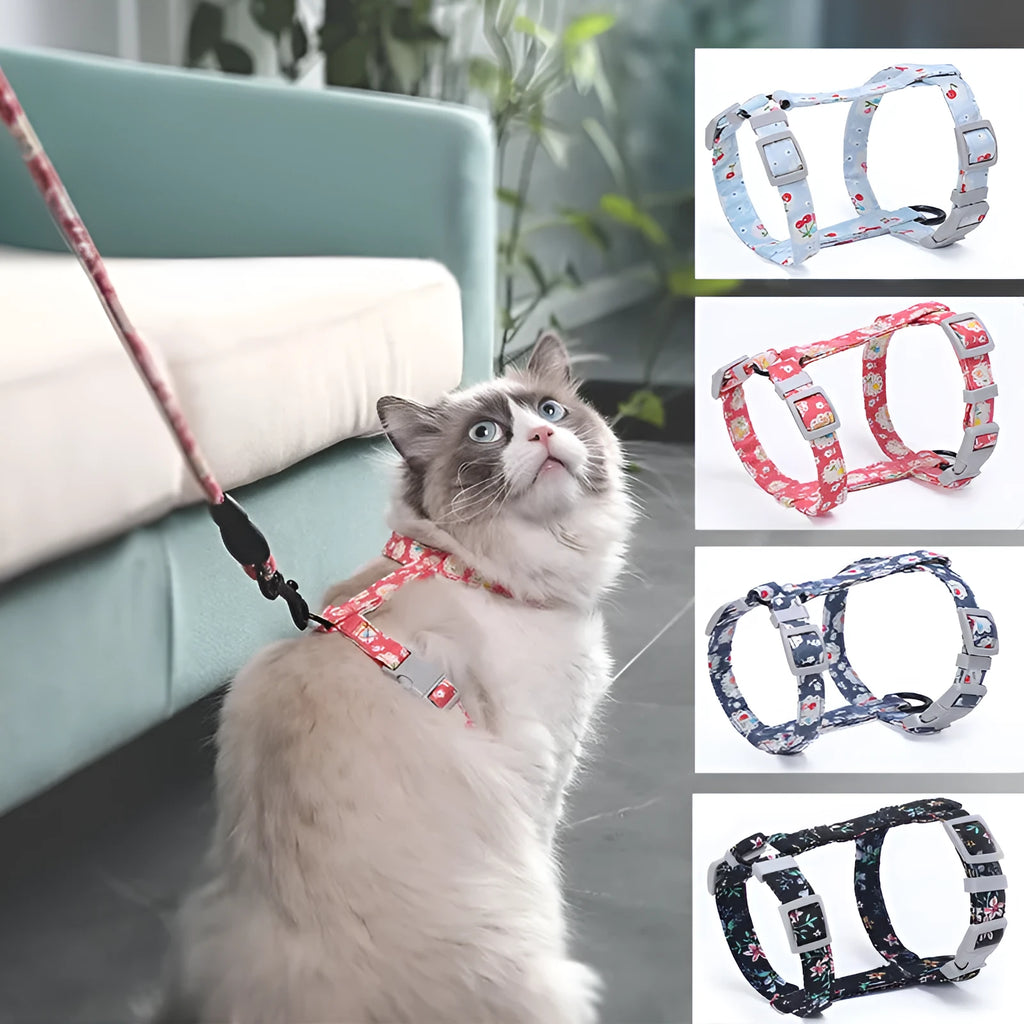 Cat I-shaped chest harness in Black with cotton rope and metal clip on white background