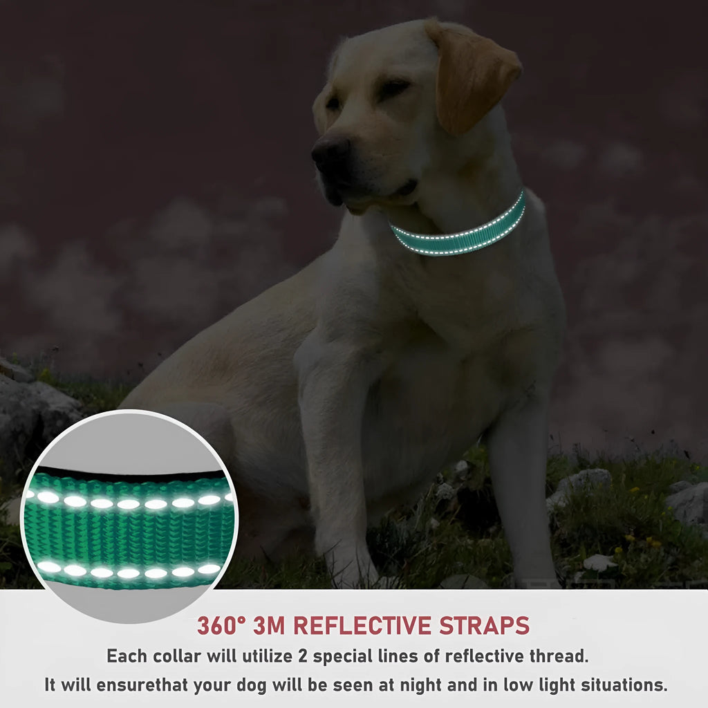 Adjustable chest strap dog collar in nylon material showing colour options