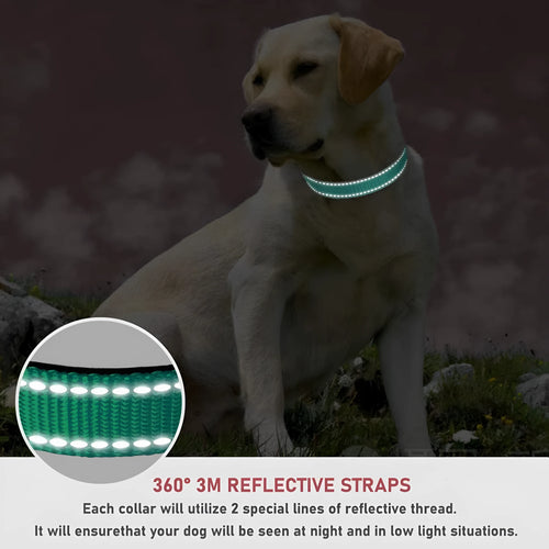 Adjustable chest strap dog collar in nylon material showing colour options