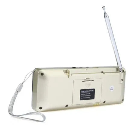 L-288AMBT portable Bluetooth speaker with AM FM radio LCD display in multiple colour options
