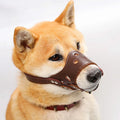 Black adjustable dog muzzle cover shown on a Golden Retriever for anti-barking and bite prevention training.