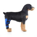 Pet leg rehabilitation foot support made of SBR, available in black, for left or right foot, size options XS to L