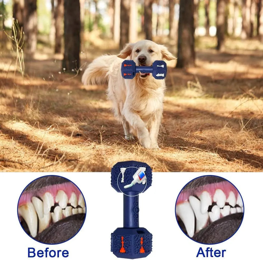 Natural rubber dog chew toy with hollow dumbbell design and textured surface for aggressive chewers
