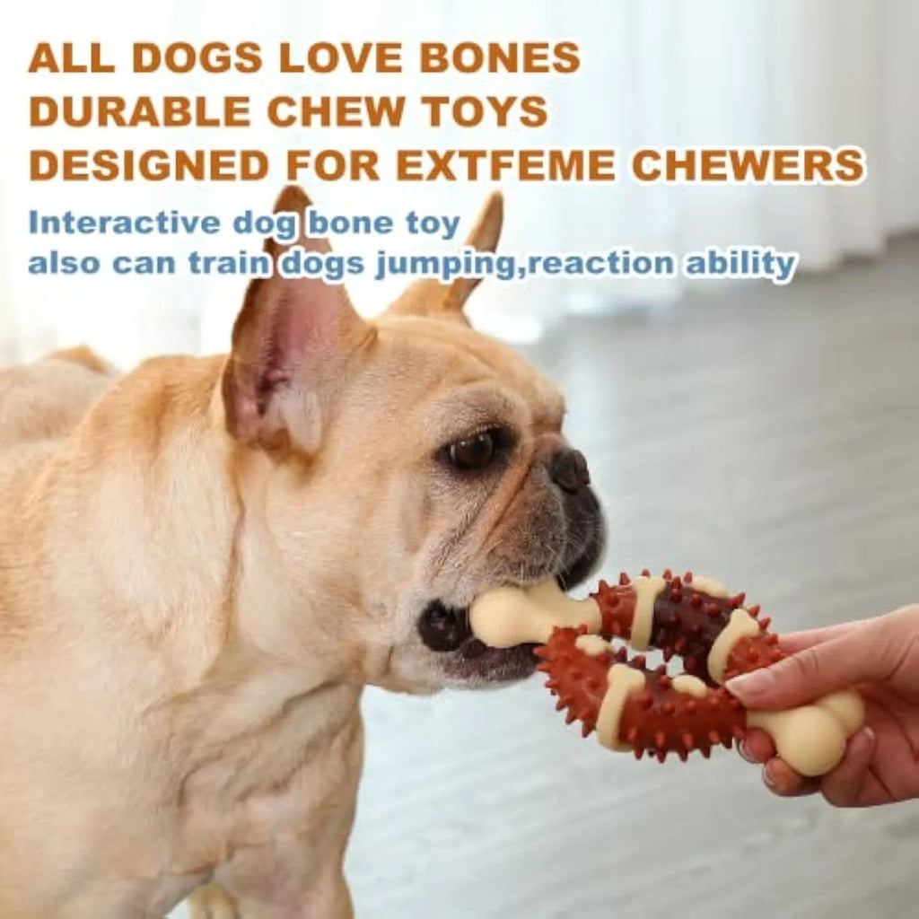 Bone-shaped natural rubber dog chewing toy shown in two different sizes on a plain background