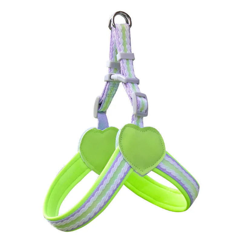 A dog wearing an emerald green nylon vest chest strap harness attached to a matching hand-held rope.