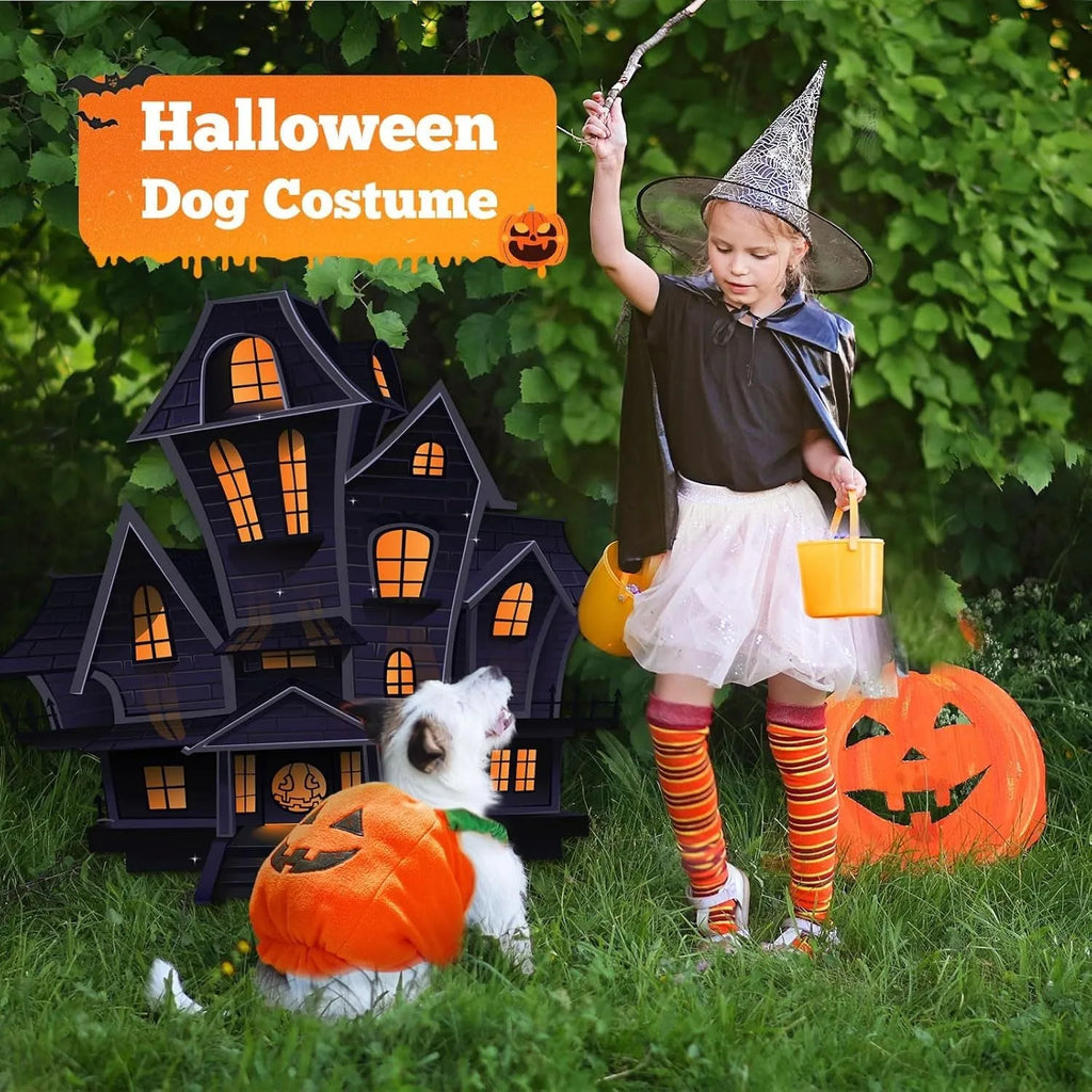 Orange pumpkin plush Halloween costume on a small dog, showing pullover design and soft fabric.