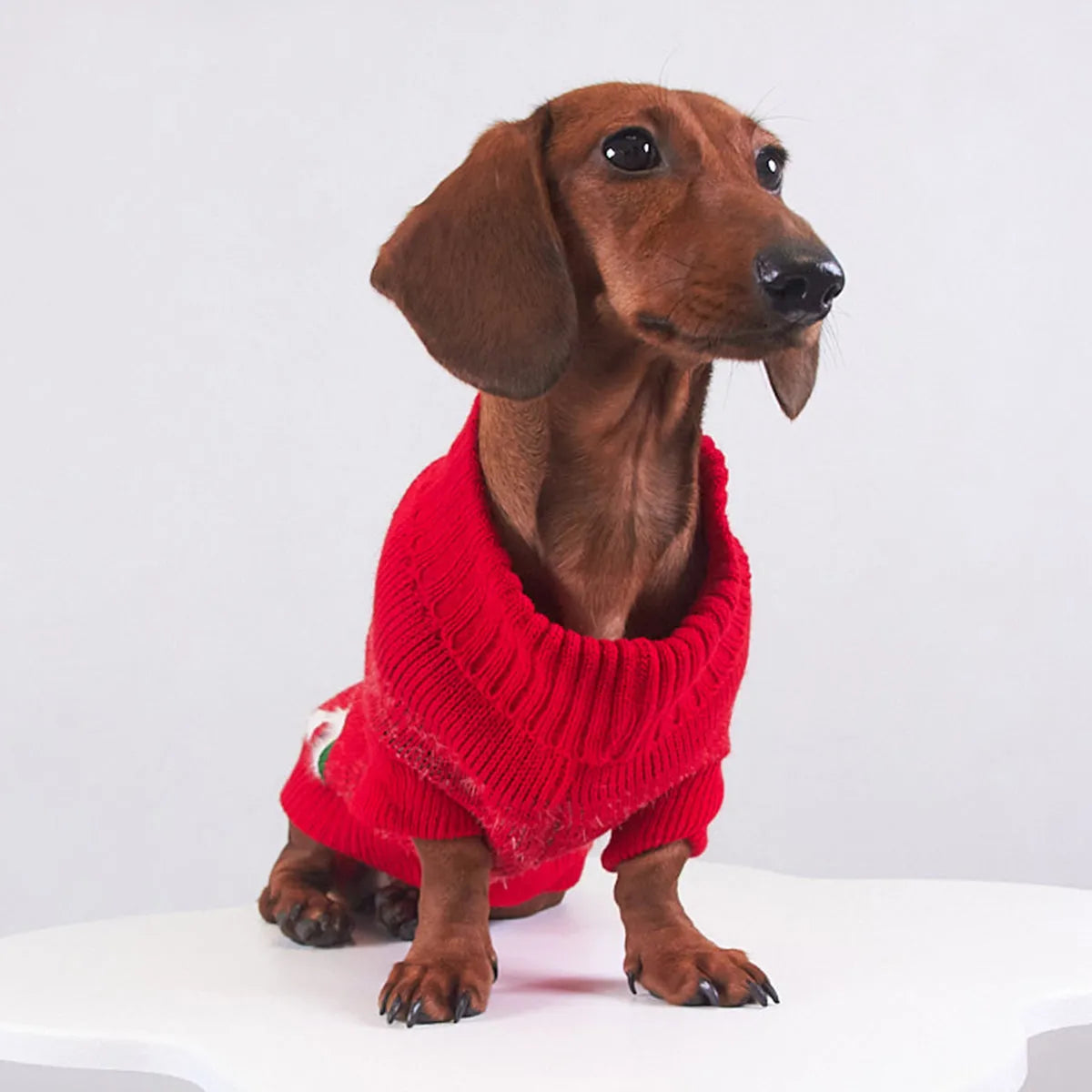Four coloured pet Christmas sweaters with mink lining in purple, red, green, and khaki sizes 6/XS to 16/XXL