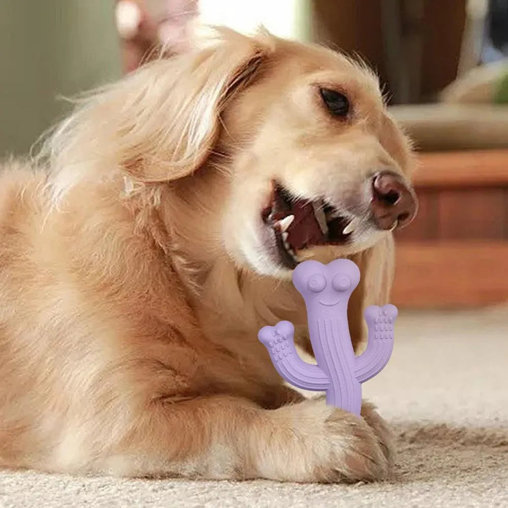 Beige, blue, and purple cactus-shaped dog chew toy made from bamboo fibre and rubber, shown in small and large sizes.