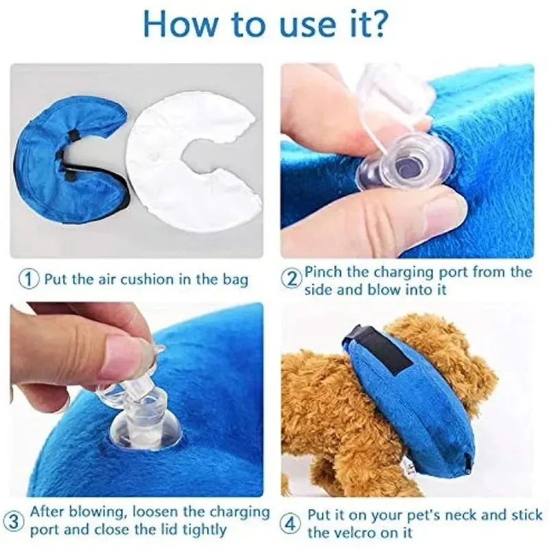 Blue soft inflatable dog recovery collar fastened around a dog's neck as an alternative to a plastic cone.