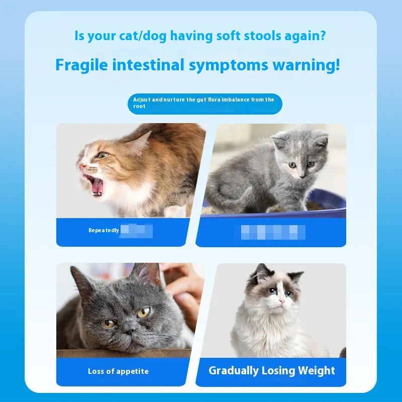 Bottle of Pet Active Probiotic Tablets containing 180 tablets for cat and dog digestive support.