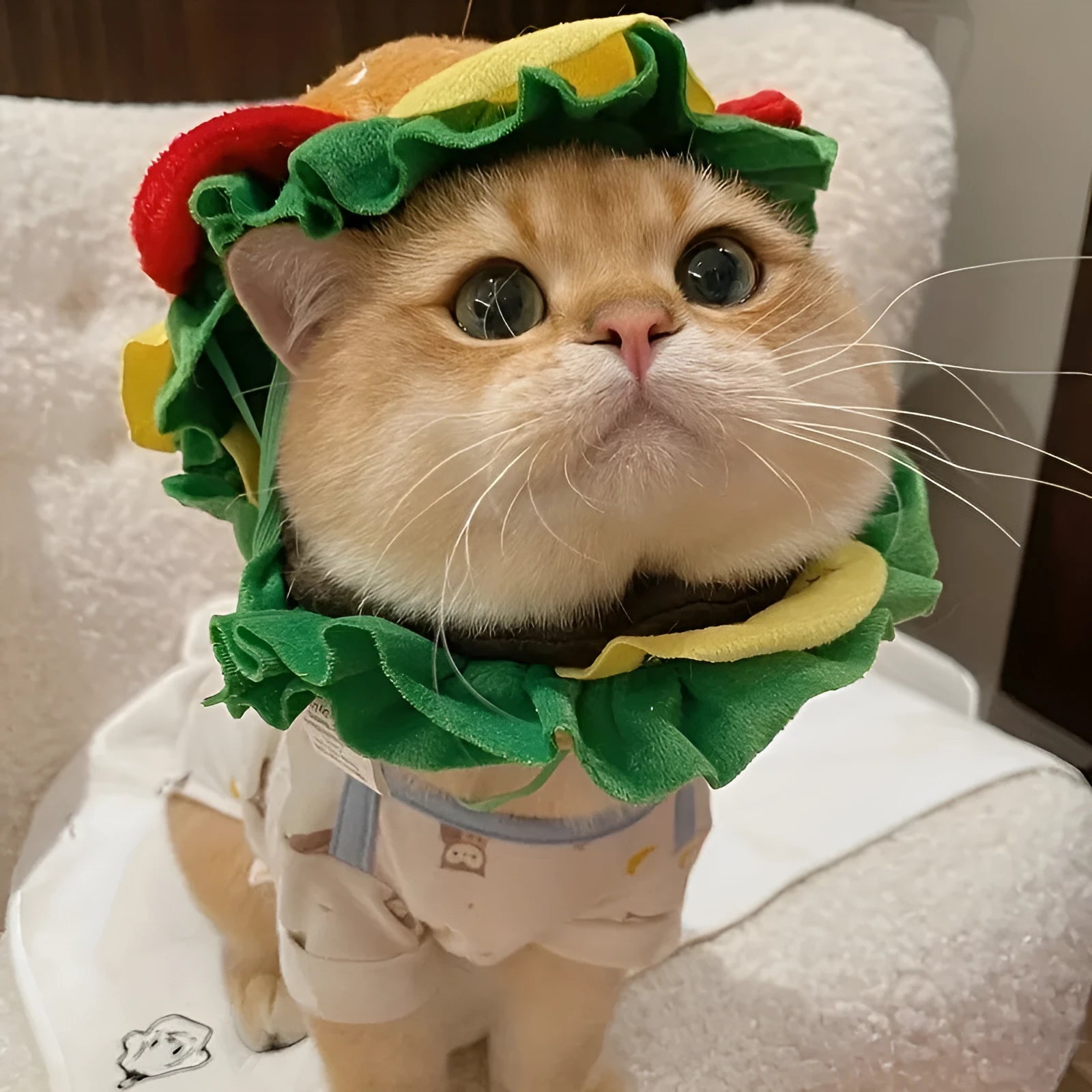 Burger-shaped cartoon headdress collar for a cat, shown on a feline model, with adjustable neck strap.