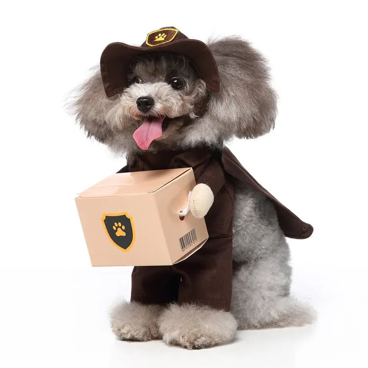 Three-piece dog costume in polyester fabric, standing outfit with hat, clothes and cloak, size S to XL