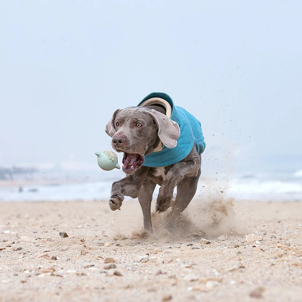 Cold-proof polyester dog vest in rose red, available in sizes S to XXL.