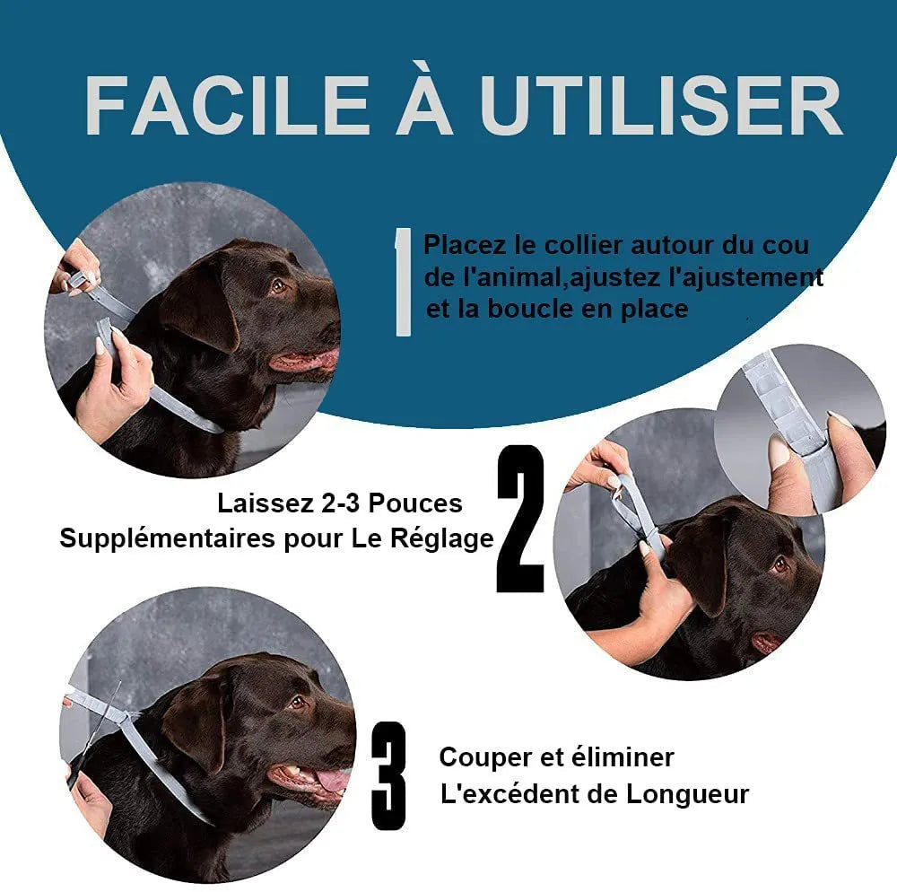 Rainbow-coloured plastic flea repellent collar for cats and dogs.