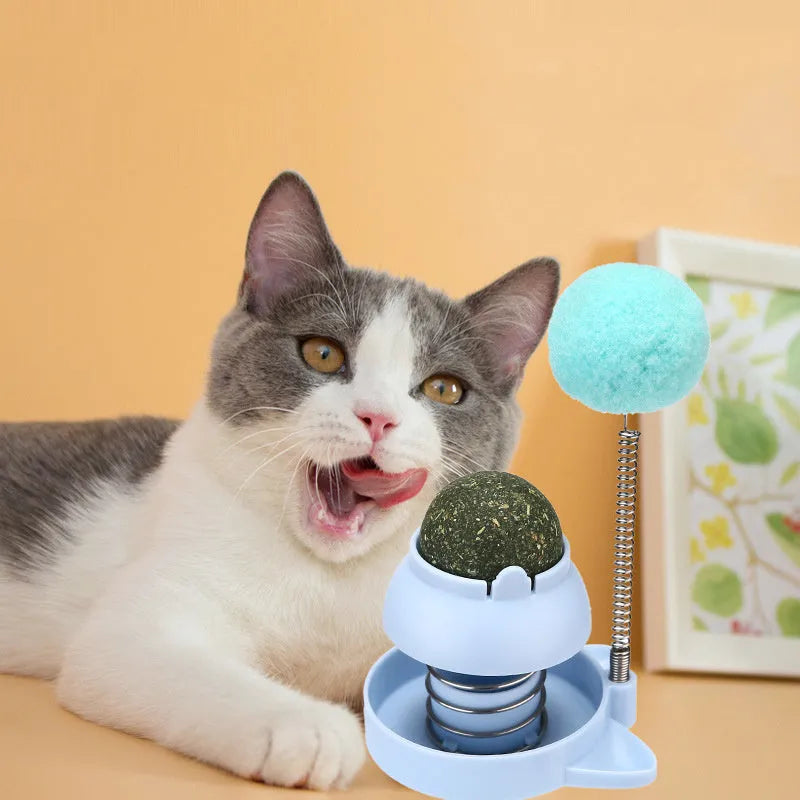 Blue Lucky Cat mint ball cat toy with tease stick, shown with 55mm diameter for scale.