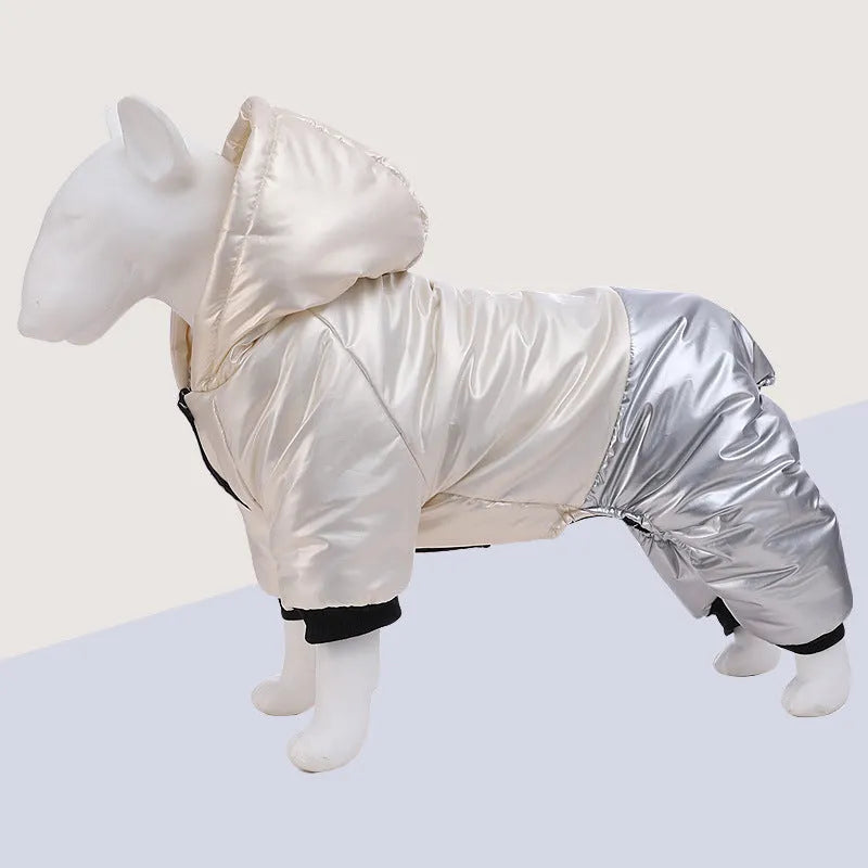 Green waterproof cotton dog coat on canine showing four-legged design and casual styling