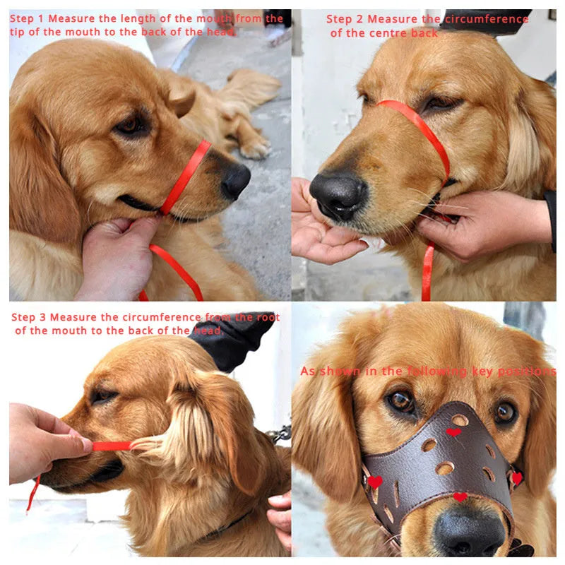 Black adjustable dog muzzle cover shown on a Golden Retriever for anti-barking and bite prevention training.