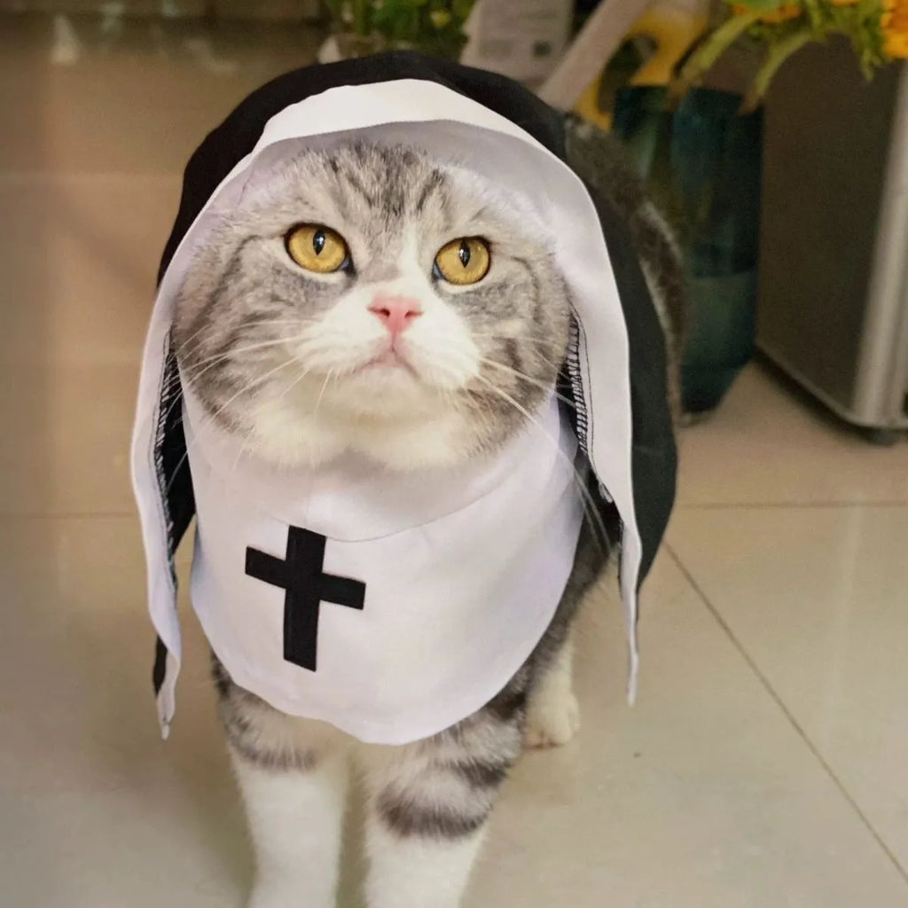 Black and white nun costume for small to medium dogs and cats with pullover design