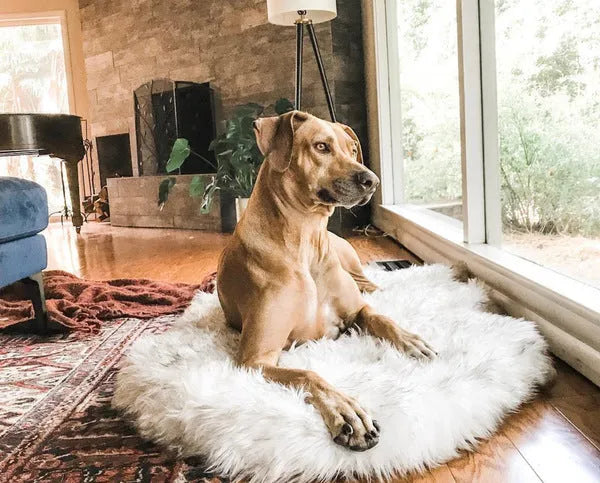 Beige plush pet dog mat for large dogs up to 45kg on a wooden floor